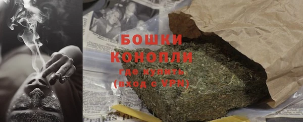 трава Няндома