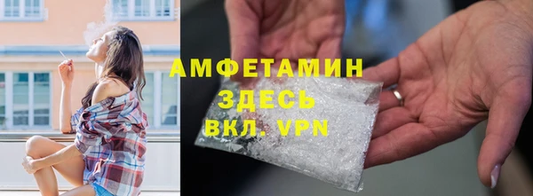 трава Няндома