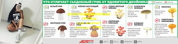 трава Няндома