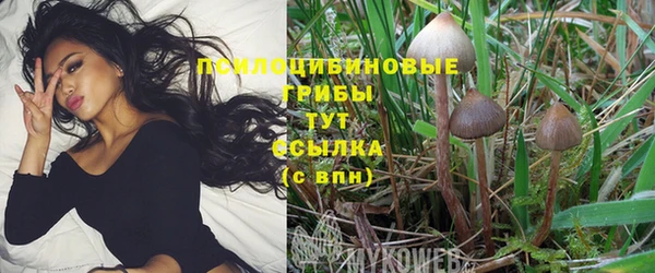 трава Няндома