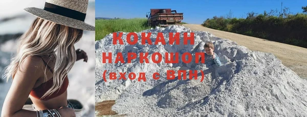 трава Няндома