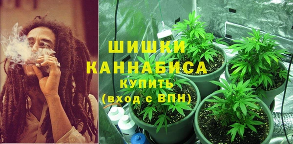 трава Няндома