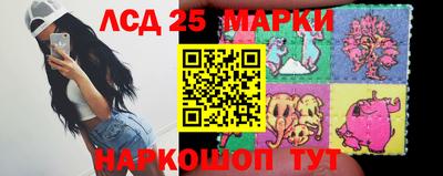 прущие грибы Балашиха