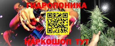 прущие грибы Балашиха