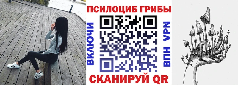 закладки  Волжск  Псилоцибиновые грибы Psilocybine cubensis 