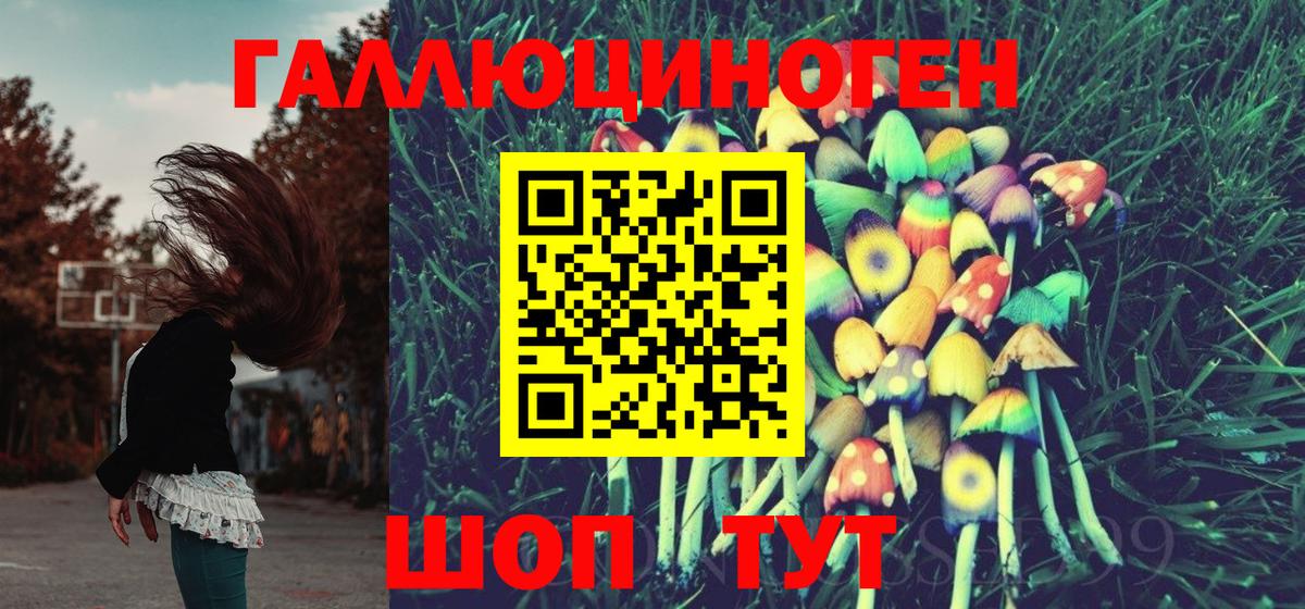 Галлюциногенные грибы мухоморы Волжск