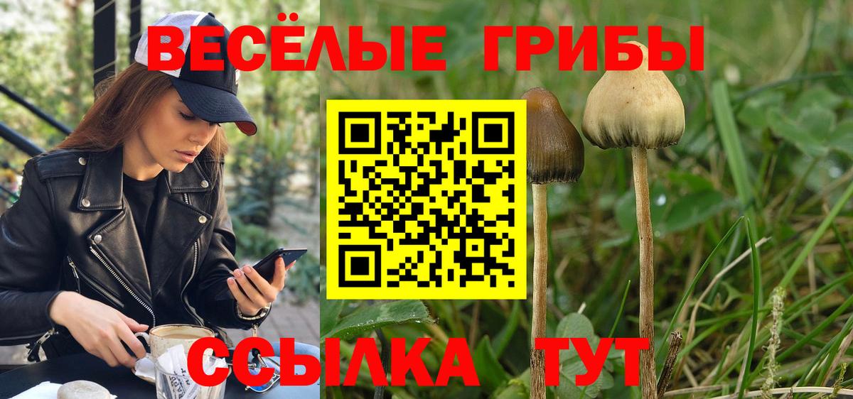 Псилоцибиновые грибы Psilocybine cubensis  Вход с VPN  Волжск  Псилоцибиновые грибы ЛСД 